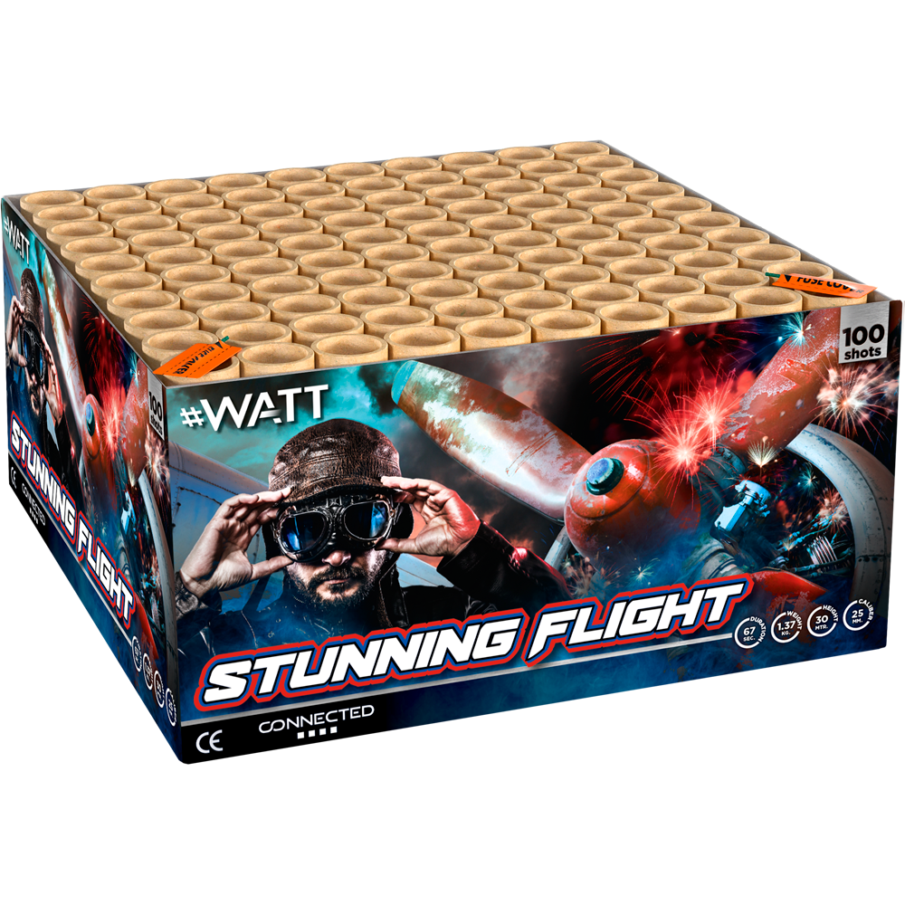 STUNNING FLIGHT