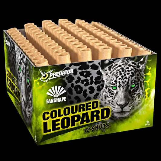 COLOURED LEOPARD