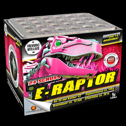 E-RAPTOR